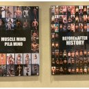 머슬마인드 구로디지털 본점 이미지