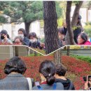 스마트폰 초급 이미지