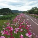 참좋은세상 이미지