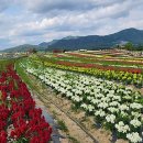 고*석 - 안양시 만안구 삼봉로 61 | 고*석