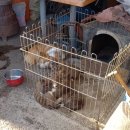 화순이서우체국 이미지