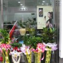 한중약국 이미지