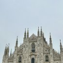 [이탈리아 가족여행🇮🇹]이탈리아 마지막날 밀라노 당일치기(피렌체에서 밀라노, 짐보관, 대한항공KE928)