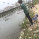 사로교