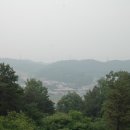 안용주골 이미지