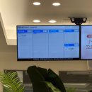 부평 모모 동물병원 | 부평 고양이 종합 건강검진 후기 ‘모모 동물의료센터’