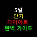 5일 단기 다이어트 완벽 가이드