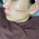 담플레닝 네이버블로그