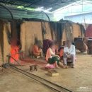 목계숲 2 이미지