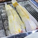 곰소금빛장어