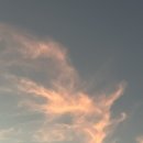 [주간일기 열한 번째: '그런 날']