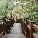 돈내코로 이미지