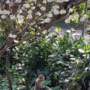 사과꽃필무렵 이미지