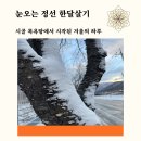 정선군 도전 | 정선 겨울 한달살기 현실 후기