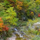 산림생태문화체험단지 네이버블로그