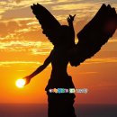 압해도 용마을 | 섬 바다 힐링여행 전남 신안군 초청 흑산도 도초 비금도 영산도 장도 압해도 여행블로거기자단 팸투어