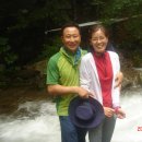 한반도면-8 이미지