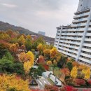 2022.11.3 경기도 고양특례시 일산서구 강선마을 아파트단지 단풍구경 하세요! 이미지