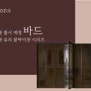 코지스 Daum카페