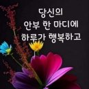 경희의료기 Daum카페