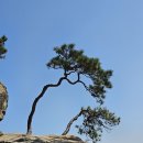 계룡산국립공원 자연성릉 & 관음봉 진달래꽃 생생포토 뷰 이미지