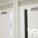 서울동물의료센터 이미지