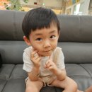 천안 다온스튜디오 성장앨범 마지막 두돌촬영 후기