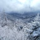 평창 선자령 산행예약 ( 1월 23일 산행 ) 이미지