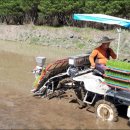 남면농업협동조합 이미지