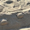 GR(부안군)-[변산로]-하-8 | 부안 가볼만한곳 1박 2일 여행코스