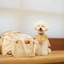 강남예치과동물병원 이미지