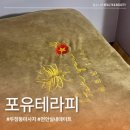포유 | 천안실내데이트 두정동마사지 베트남마사지 포유테라피 후기