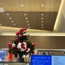 (주)아성다이소 서면지하상가중앙몰점 | 가성비 루시아이 미니 크리스마스트리세트 내돈내산 후기 다이소 크리스마스 추천 비행산타 오너먼트