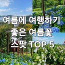 ㅂㅂㅂㅂ | 지금이 딱 ! 가기 좋은 여름 꽃 스팟 top5 전라도편(쑥섬, 윤제림, 수목원, 송광사, 덕진공원)