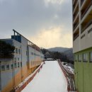양지파인리조트 눈썰매장 티스토리