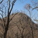 지용산인 이미지