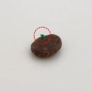 멍멍냥냥 - 부천시 소사구 경인로134번길 52 | 멍멍냥냥
