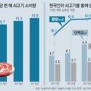 더마블링 이미지