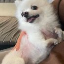 (주)카퍼스트 이미지