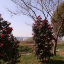 남쪽마을 이미지