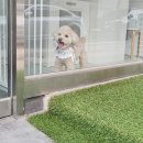 원사랑미용실 네이버블로그