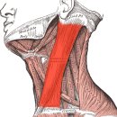 짐라운지 이미지