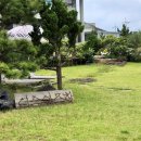 디스민박 이미지