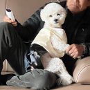 내가 누구개? 이미지