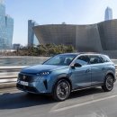 차사랑카랜드 이미지