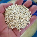 마루농장 이미지