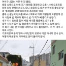 주차금지고 어린이집 하원시간이고 알바없고! 나 시의원이니까 밥 다먹고 차 빼줄때까지 기다리셈 이미지