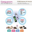 개거품그루밍 | 물없이 쉽게 고양이 목욕시키기,워터리스 고양이샴푸 목욕동영상,고양이사진,고양이키우기