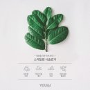 유앤아이스킨케어 이미지