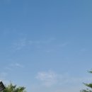 개미행정사 이미지